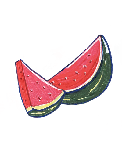 watermelon fruit fruit illustration fruit sticker illustration sticker watermelon