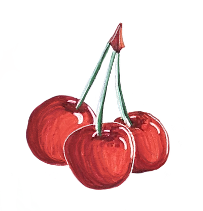 cherries cherries cherry cherry sticker digital drawing drawing fruit fruit illustration fruit sticker illustration