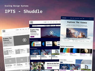 IPTS - Shuddle | Dribble Scaling Design Systems Capstone branding concept design design system product design web