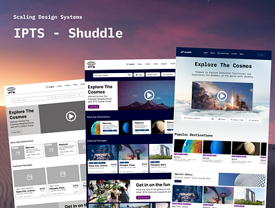 IPTS - Shuddle | Dribble Scaling Design Systems Capstone branding concept design design system product design web