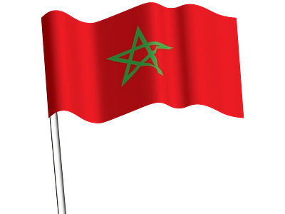 Flag Morocco branding flag graphic design logo morocco nacional vector