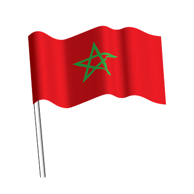 Flag Morocco branding flag graphic design logo morocco nacional vector