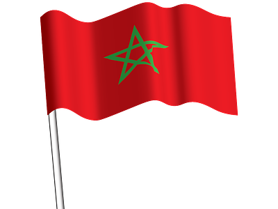 Flag Morocco branding flag graphic design logo morocco nacional vector