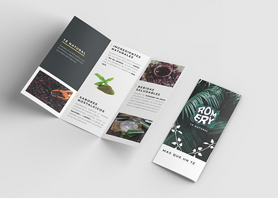 Romery Marketing Brochure graphic design