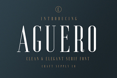 Aguero Serif Font creative design font logo typeface