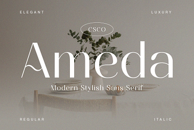 Ameda Font - Craft Supply Co creative design elegant font lettering logo typeface