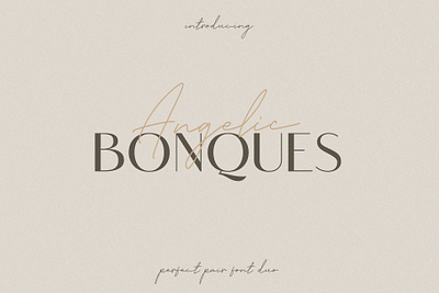 Angelic Bonques Font - Craft Supply Co brush creative design elegant font lettering logo typeface