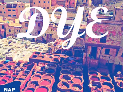 NapAmsterClam DYE cover art. branding design graphic design logo typography vector