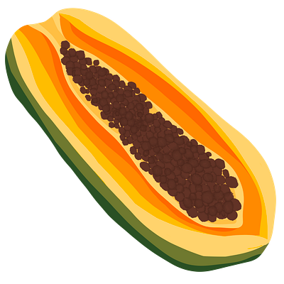 Papaya art art bundles clip art draw illustration