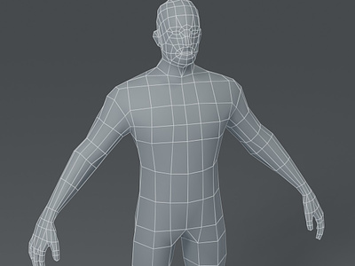 Human Body Base Mesh 3D Model designs, themes, templates and downloadable  graphic elements on Dribbble