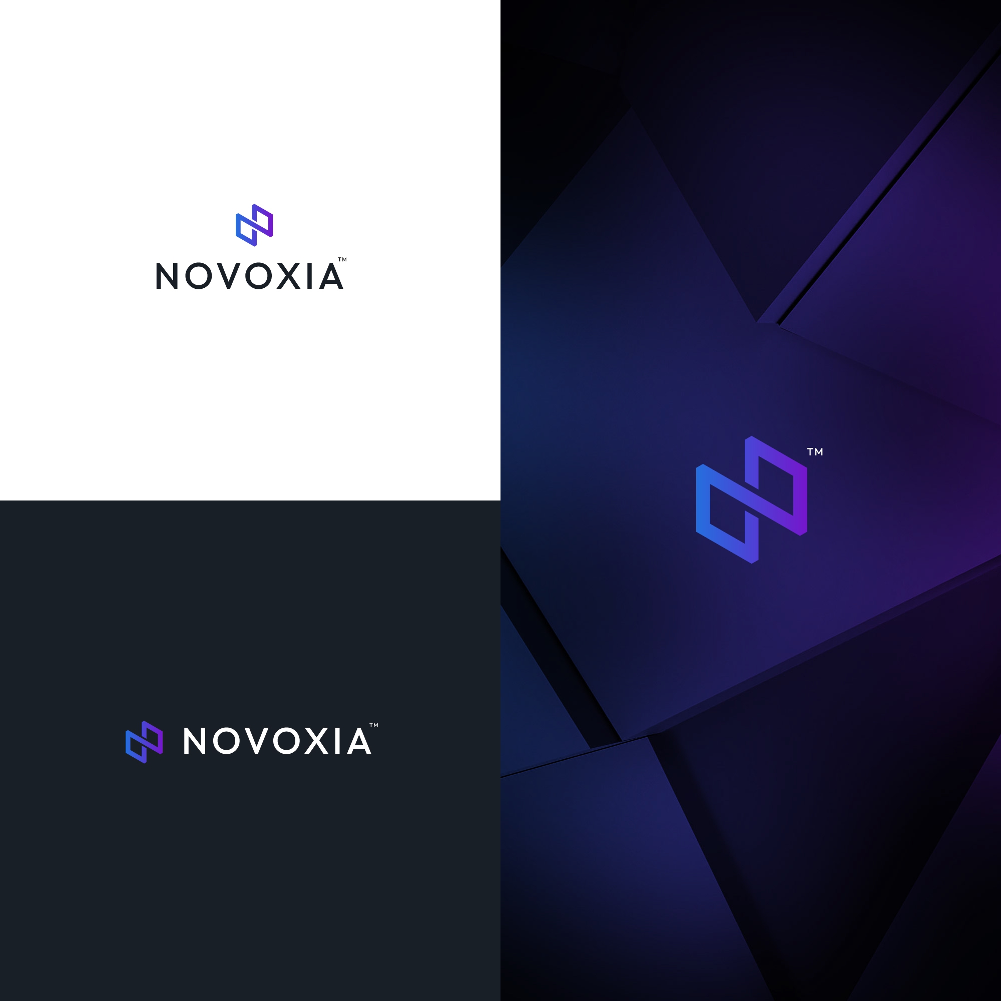 Logo Design For 'NOVOXIA' animation app brand logo branding business logo company logo creative logo design graphic design graphic designer illustration logo logo designer logo maker minimalist logo modern logo motion graphics software logo ui vector