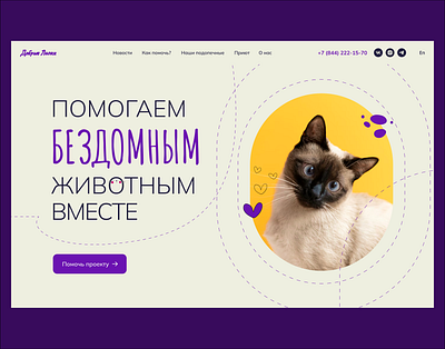 Главный экран благотворительной организации, помощь животным animals cat design hero images ui violet web design