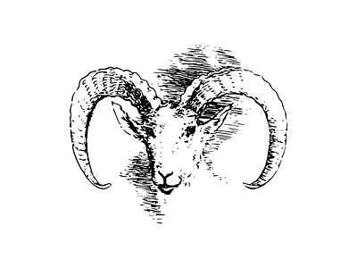 A drawing of a ram's head white