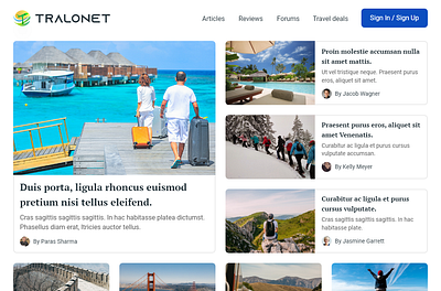 Tralonet | Travels and bookings agency. branding design graphic design illustration logo typography ui ux vector web website