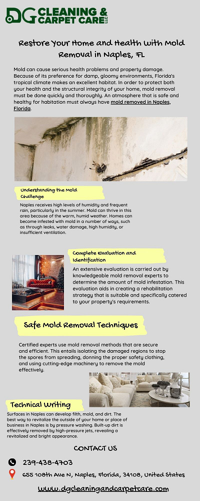 Residential and Commercial Mold Removal Naples mold removal naples fl