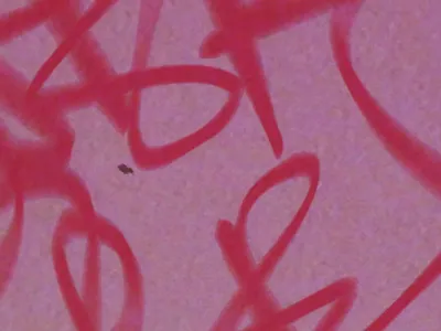 15 sec story for spotify. Raw Po - Sunny Water. animation branding design graphic design illustration motion graphics vector