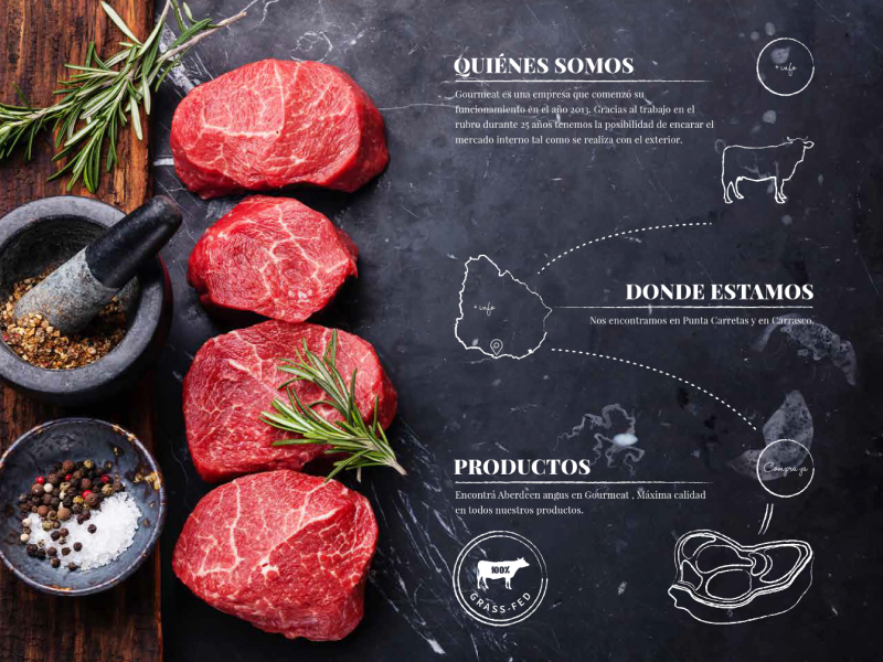 Gourmeat Uruguay Web Design animation graphic design meat ui web