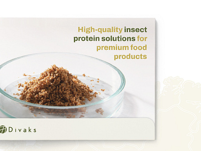 Insect Protein Solutions Brochure Layout brochure layout catalog catalogue commercial design design layout editorial design food journal food product brochure insect solutions journal design nutrition worms meal