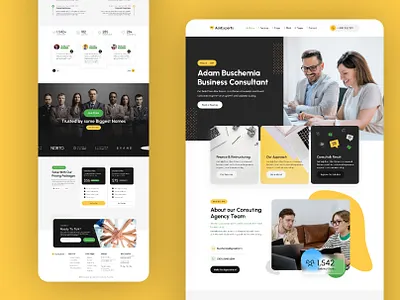 Business Website application design graphic design illustration landing page logo mobile app ui webv