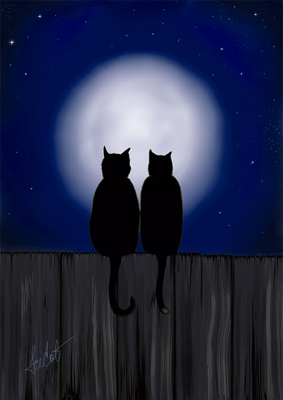 Moonlight cats art design digital art graphic design illustration painting
