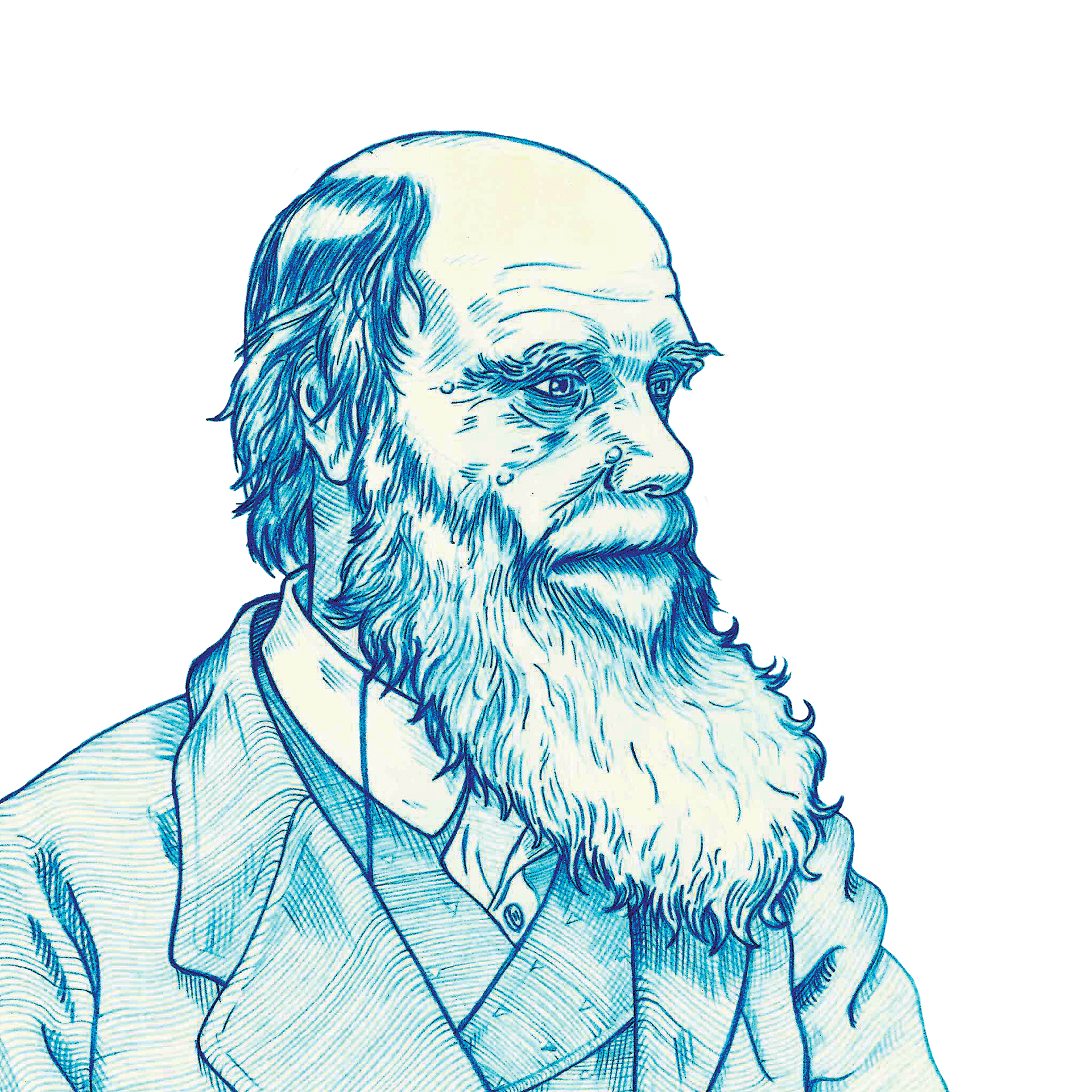 Darwin design digital art digital illustration drawing graphic design illustration mixed media pencil sketch