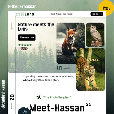 WildLens - website desing for wildlife photography. webdesign