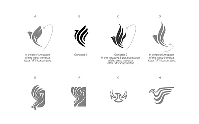 Phoenix bird logo branding identity bird branding finance graphic design identity illustration logo startup