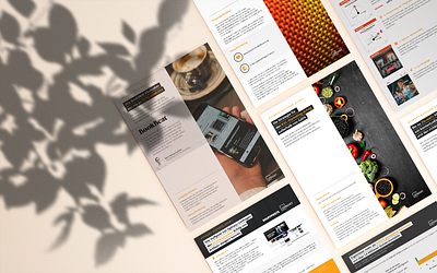 Opinary's Case Studies: DACH / B2B Clients branding graphic design
