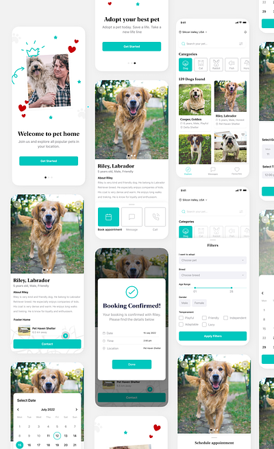 Pet Adoption App app design designer flow improvement ui visual