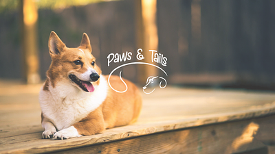 Paws&Tails...LOGO adobeillustrator adobephotoshop branding design graphic design logo logodesign ui web