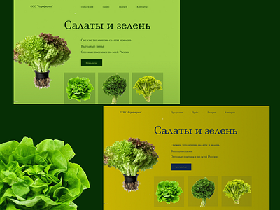 Concept Salads and greens зелень концепт салат