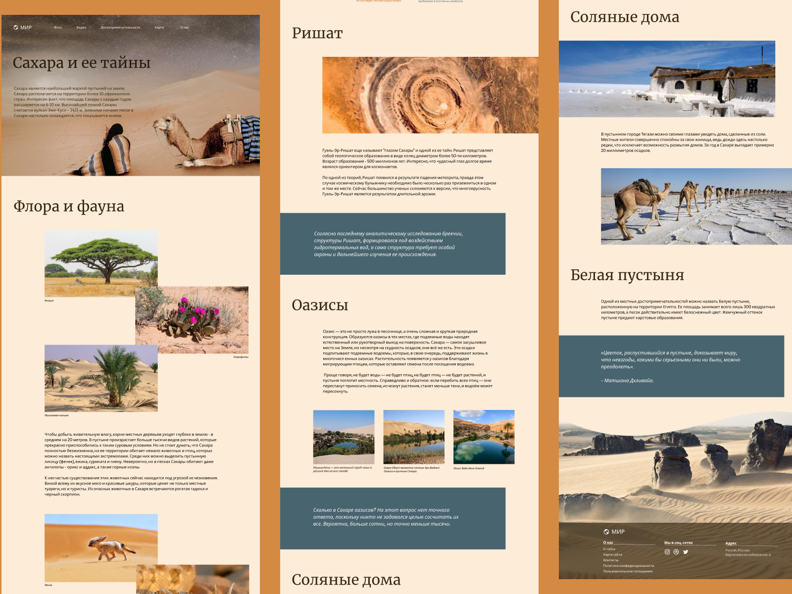 Longread Sahara Desert by Tatyana Vasileva on Dribbble