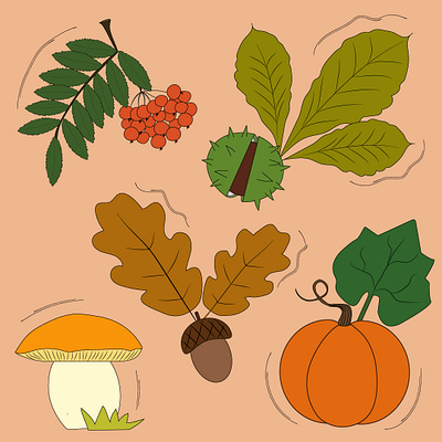 Autumn set art autumn fall forest illustration nature vector