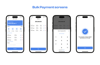 Bipay Bulk Payment Screens app branding bulkpayment design fintech onboarding payment ui ux web design