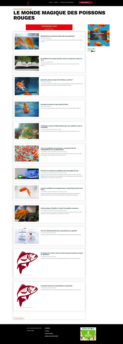 Goldfish Blog - Wordpress Divi graphic design ux wordpress