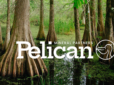 Pelican bird branding identity design logo louisiana minerals oil and gas pelican typography