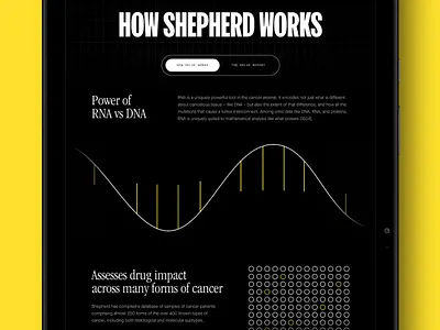 Shepherd Therapeutics Website cancer therapeutics website