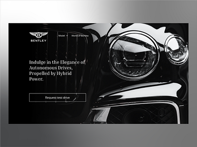 Landing Page Design for Bentley Motorsports brand brand identity branding design figma graphic design homepage design illustration landing page design logo ui ux vector web web design website website design