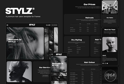 STYLZ® - Hair Salon Framer Template framer framer template graphic design small business template ui website template