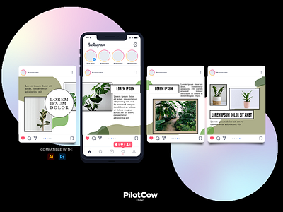 Plants Instagram Carousel adobe animation art branding carousel concept creative design dribbble graphicdesign graphics green illustration instagram leaf plants simple