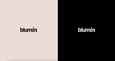 Blumin - Client Work branding graphic design logo