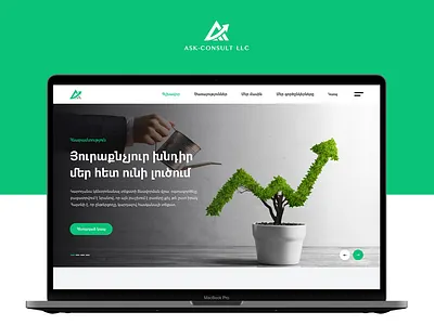 Aak-Consult, financial and legal consulting - Website design design illustration logo typography ui ux