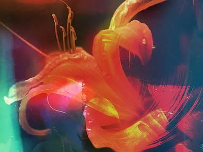 Album cover for Tom Caruana. branding design graphic design illustration logo typography vector