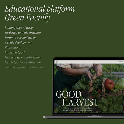 Webdesign and development for an educational platform colourful educational green illustration landing page one pager design online course typography ui design uiux design web design website