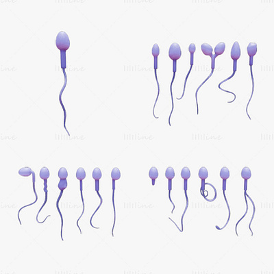 Sperm Morphology 3D Model: Normal and Abnormal 3d 3dmodel biology sperm