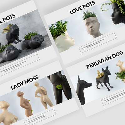 Pots and Moss Web 3d animation branding design graphic design interfase logo motion graphics ui uidesign uxdesign web webdesign webpage