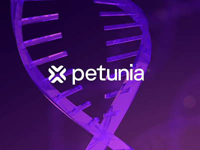 3D Animation for Petunia 3d 3d animation after effects animation branding cinema4d logo motion graphics ui