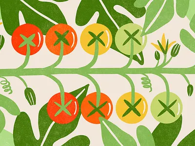 Tomatoes fruit garden graphic design harvest illustration plant ripe tomato