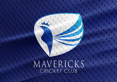 Branding Project branding cricket cricket logo grapgic design illustration logo logo design sports sports logo