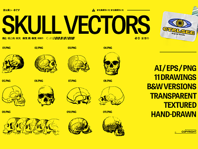 Skull Vector Drawings ai anatomy bones branding design drawing drawings eps graphic design hand drawing hand drawn human illustration illustrator line logo png skull transparent vector